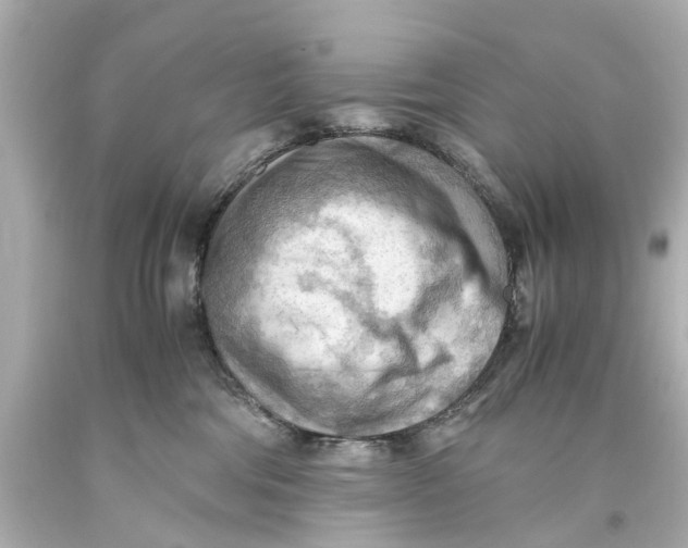 X0000093590330200711051143
