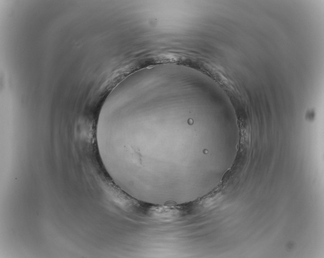 X0000093590331200711051143