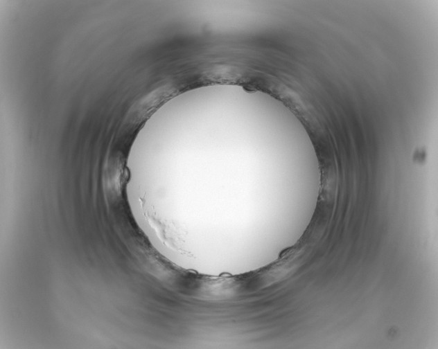 X0000093590334200711051143