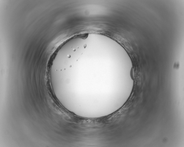X0000093590338200711051142