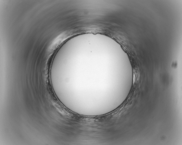 X0000093590339200711051142