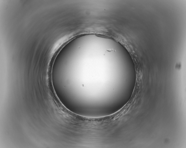 X0000093590340200711051142