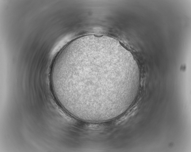 X0000093590341200711051142