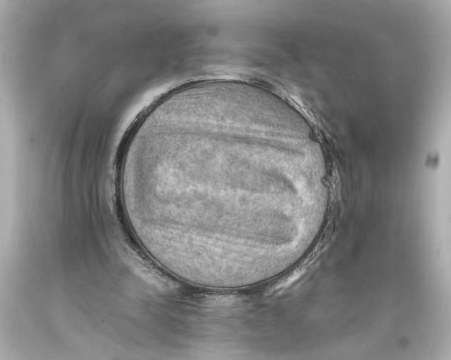X0000093590342200711051142