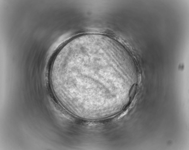X0000093590343200711051142