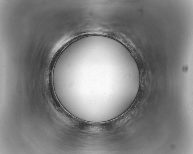 X0000093590344200711051142