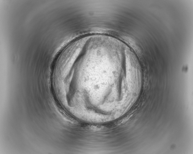 X0000093590346200711051142