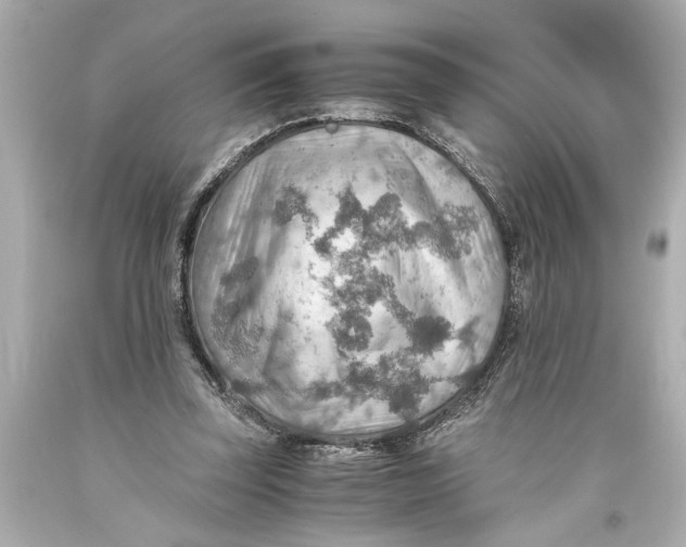 X0000093590347200711051142