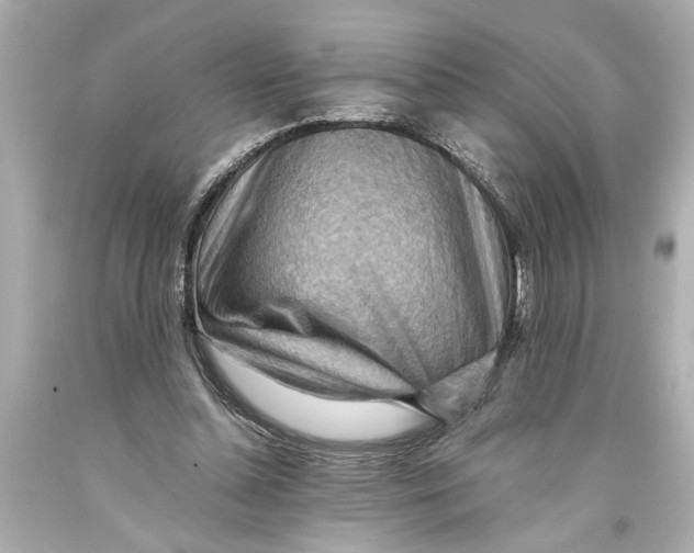 X0000093590348200711051142