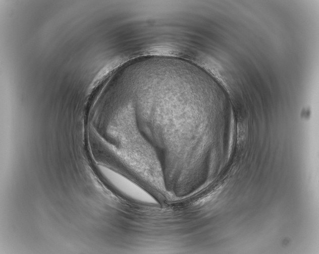 X0000093590349200711051142