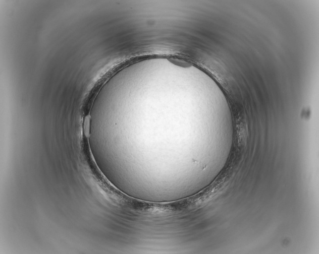 X0000093590350200711051142