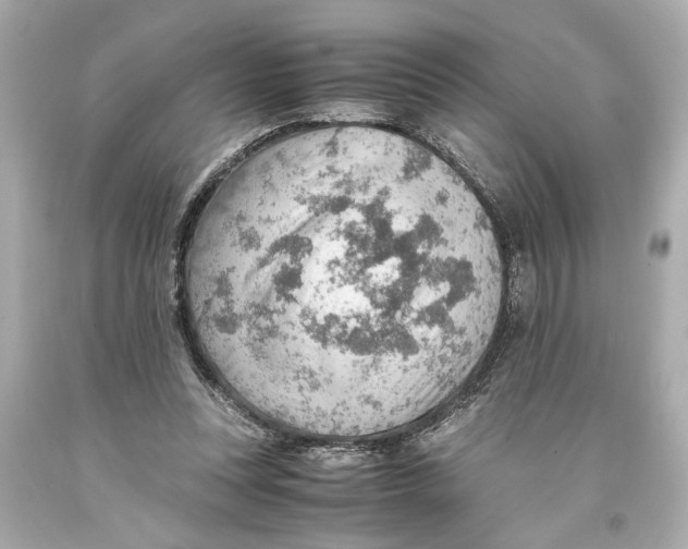 X0000093590351200711051142