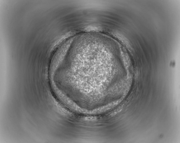 X0000093590353200711051143
