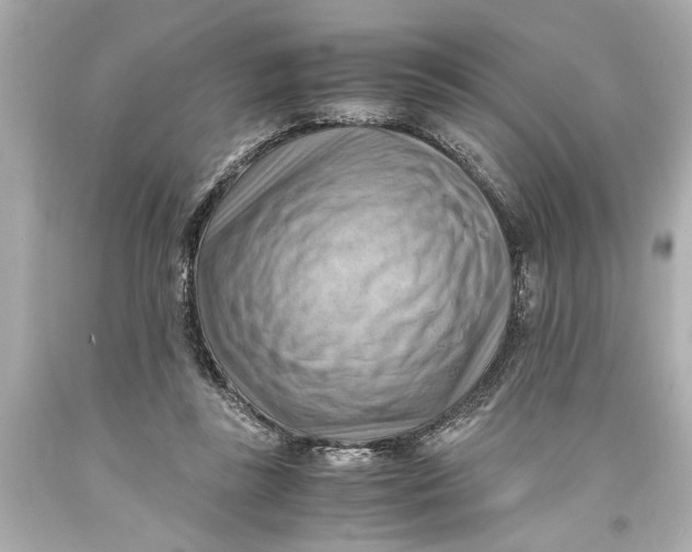 X0000093590355200711051143