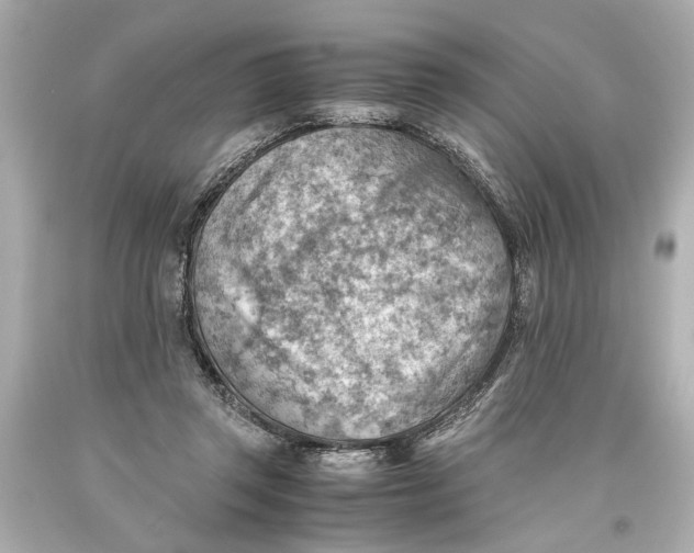 X0000093590357200711051143