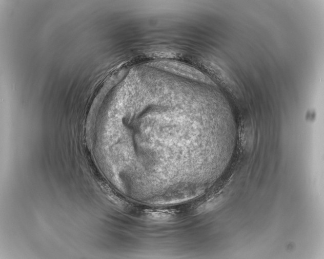 X0000093590359200711051143