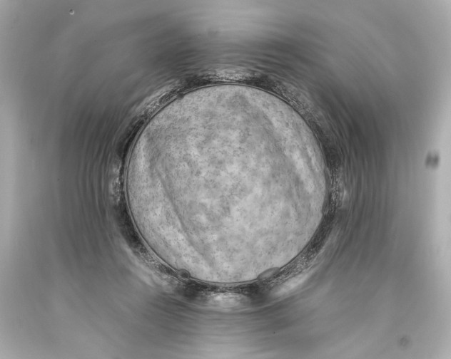 X0000093590360200711051143