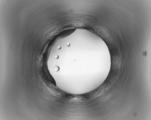 X0000093590364200711051143