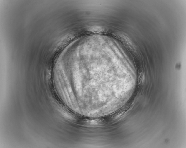 X0000093590365200711051143