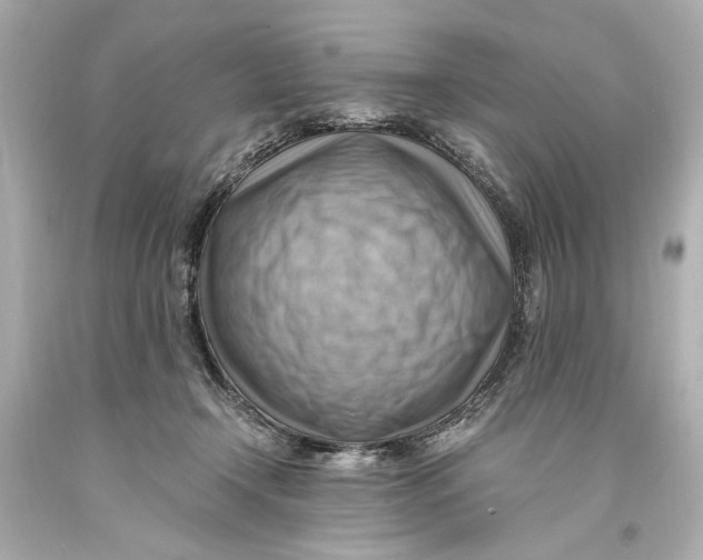 X0000093590366200711051143
