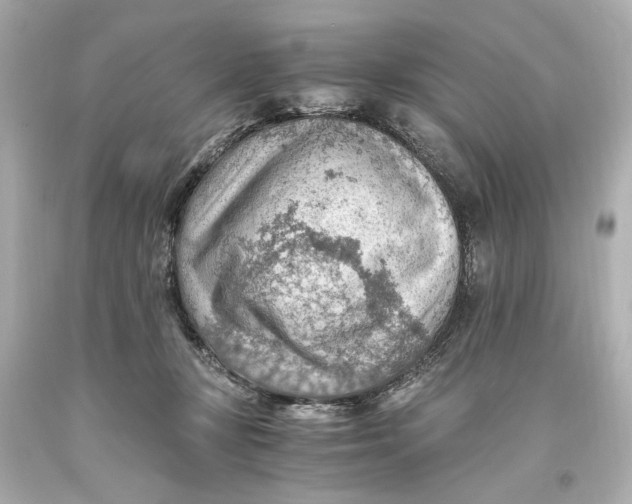 X0000093590367200711051143