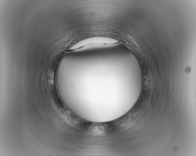 X0000093590368200711051143