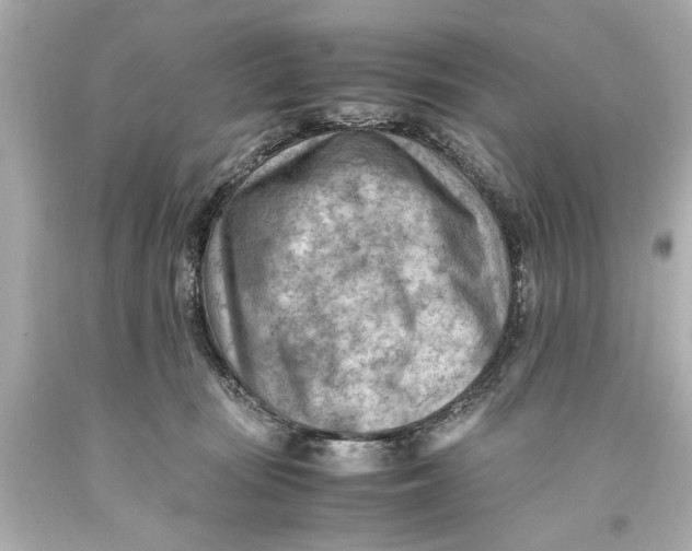 X0000093590371200711051143