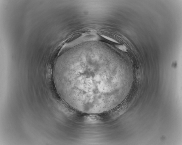 X0000093590372200711051143