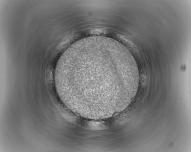 X0000093590375200711051143