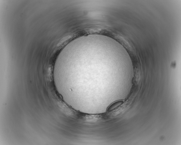 X0000093590378200711051143