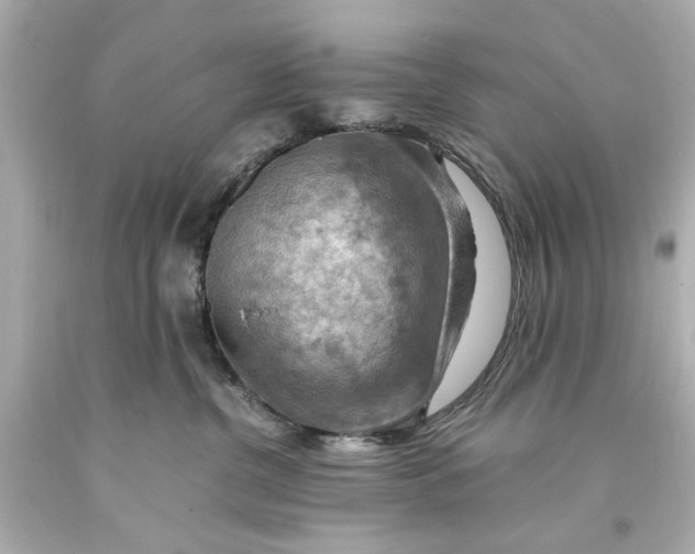 X0000093590380200711051143