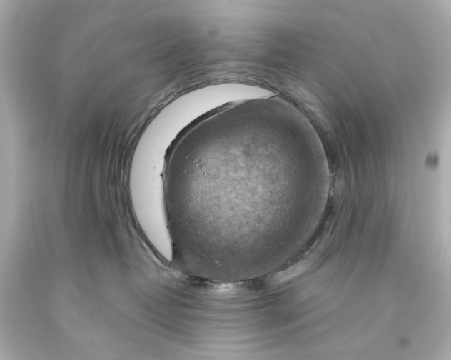 X0000093590382200711051143