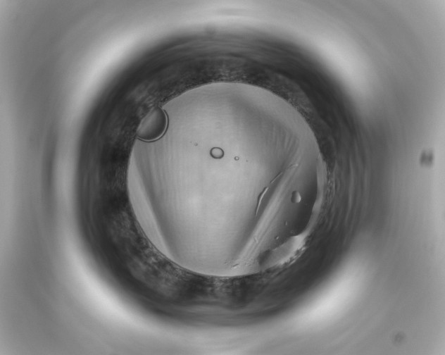 X0000093590383200711051143