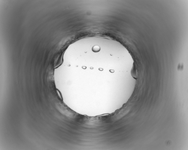 X0000093590384200711051143