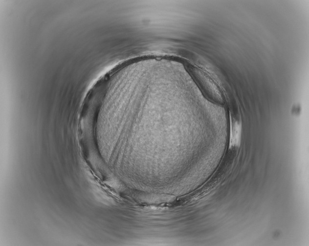 X0000093590387200711051142