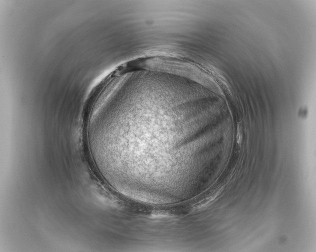 X0000093590388200711051142