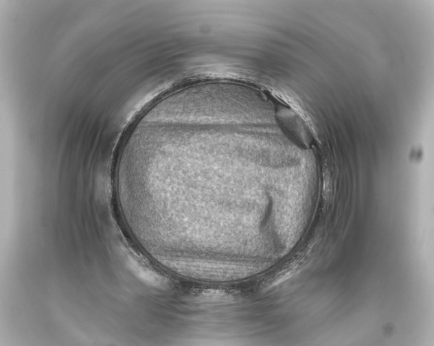 X0000093590390200711051142