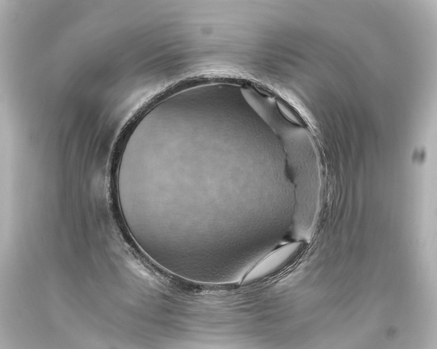 X0000093590391200711051142