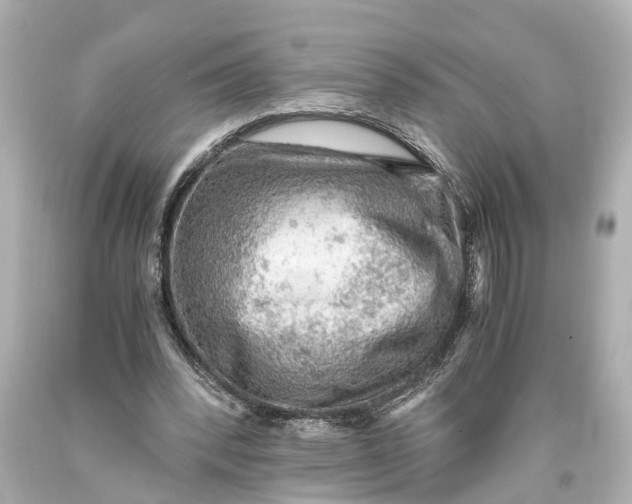 X0000093590392200711051142