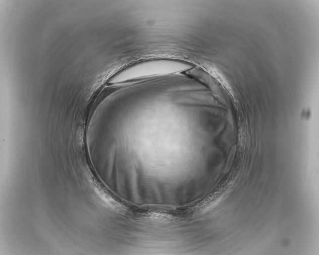 X0000093590393200711051142