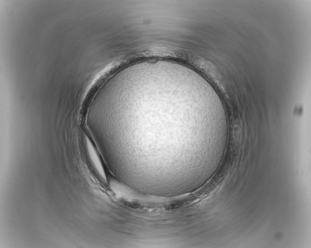 X0000093590395200711051142