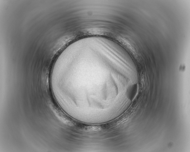 X0000093590398200711051142