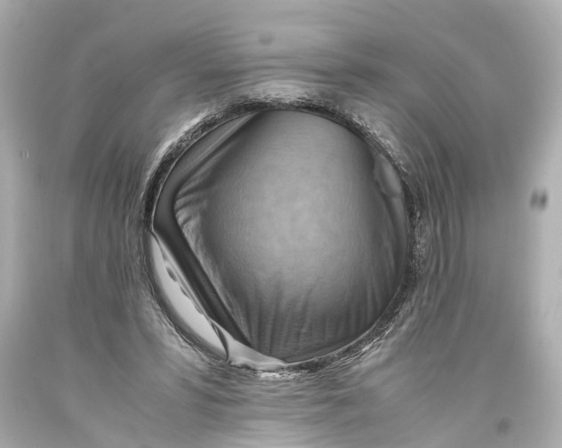X0000093590399200711051142