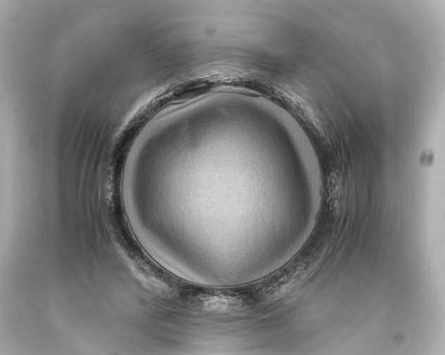 X0000093590400200711051142