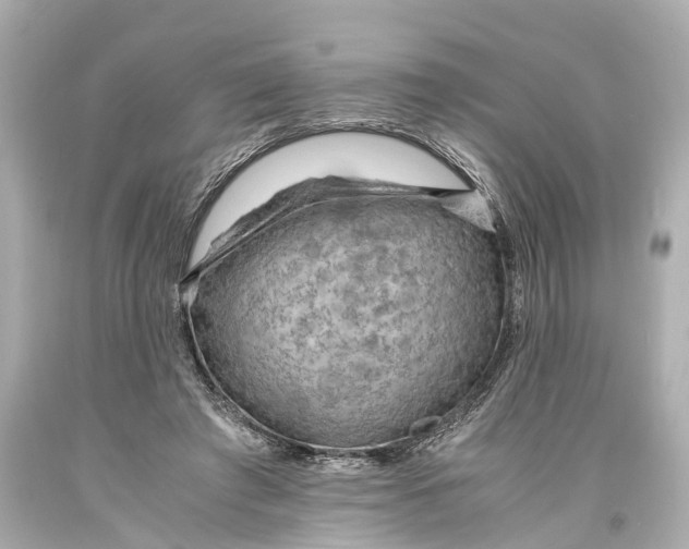 X0000093590401200711051142
