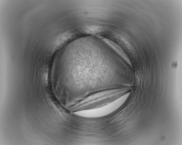 X0000093590404200711051142