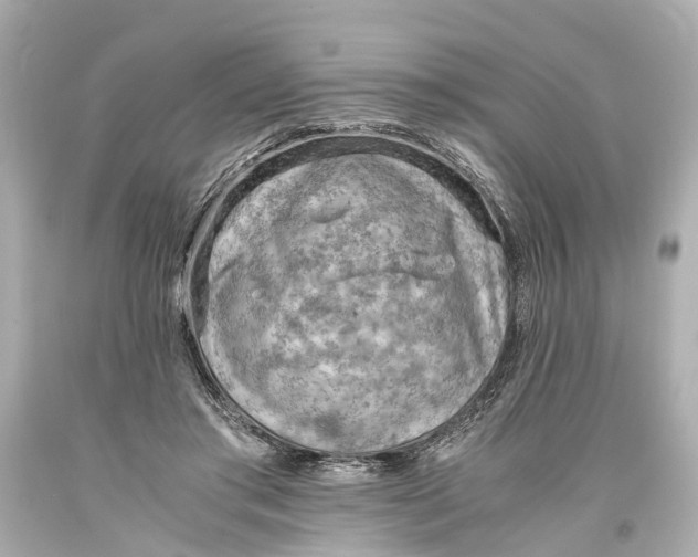 X0000093590405200711051142