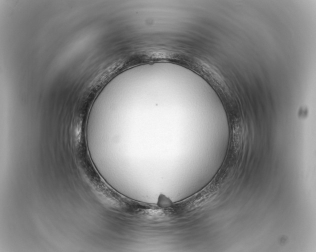 X0000093590406200711051142