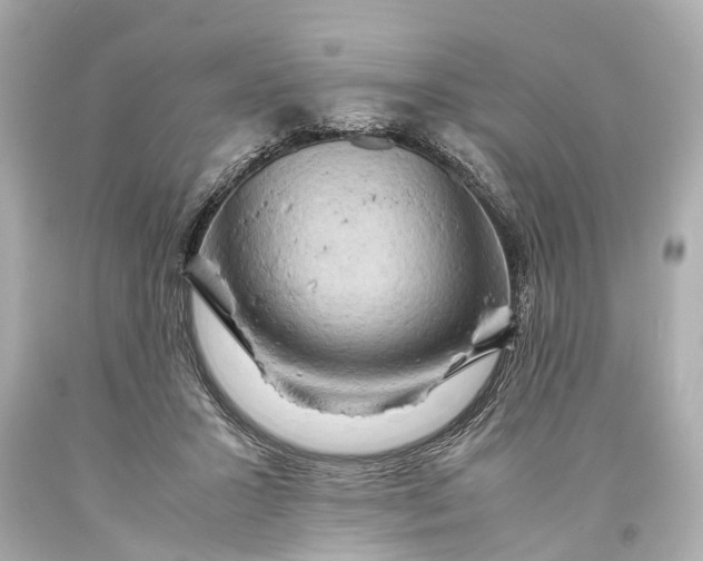 X0000093590407200711051142
