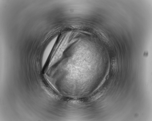 X0000093590408200711051142